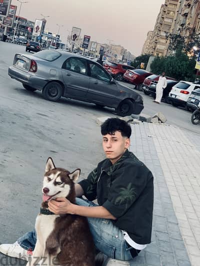 بيع الكلب لعدم توفر المكان