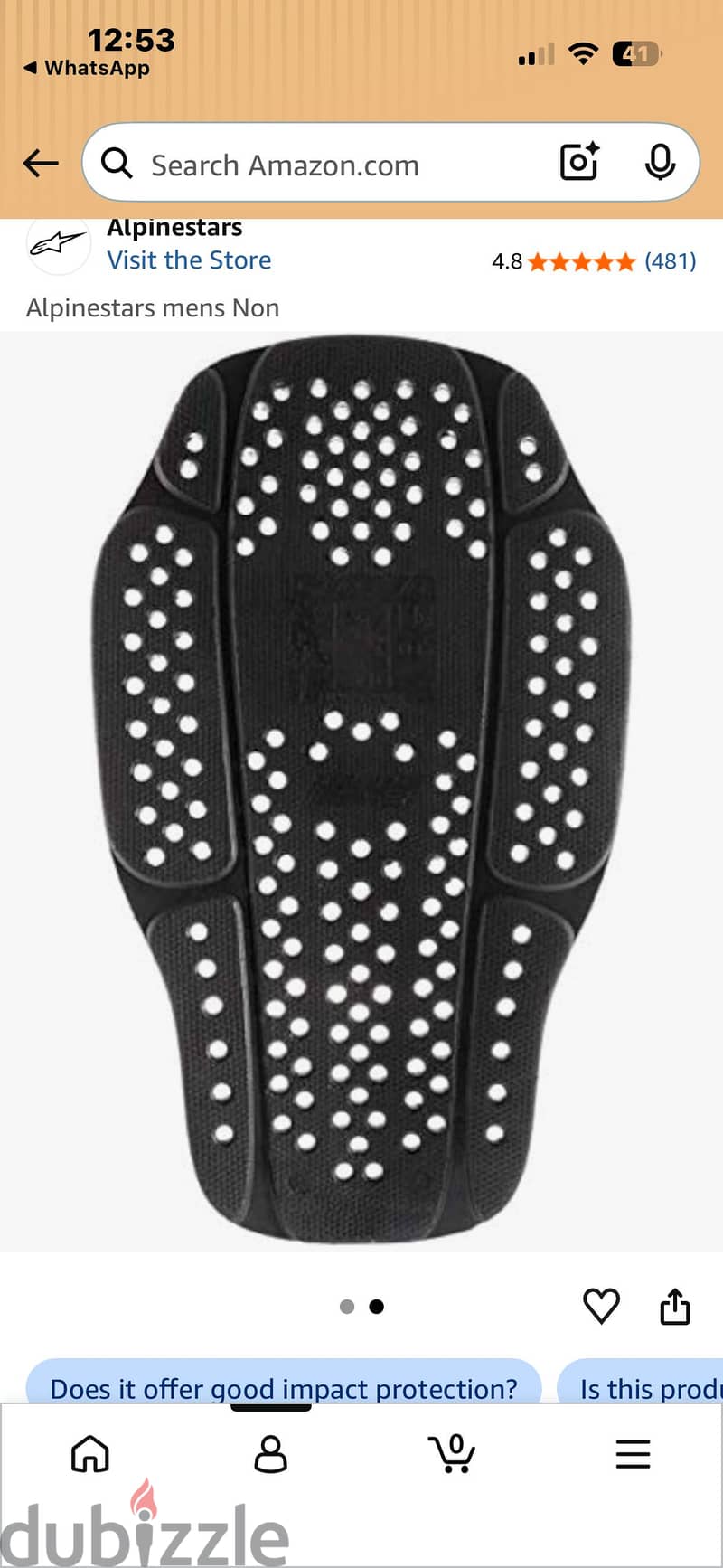 Alpinestars Back Protector Motorcycle 1