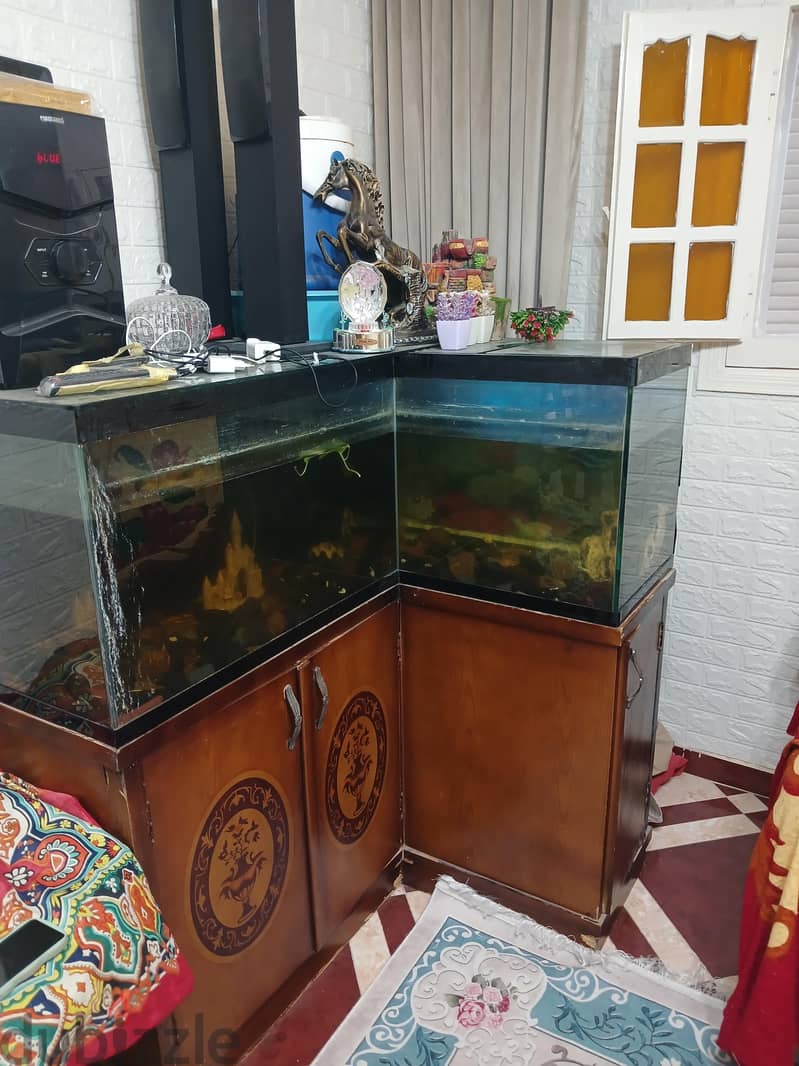حوض سمك 1
