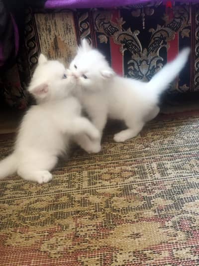 بسم الله ماشاء الله