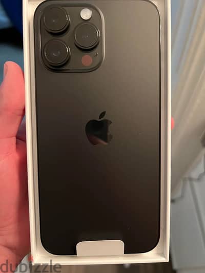 iPhone 14 Pro Max