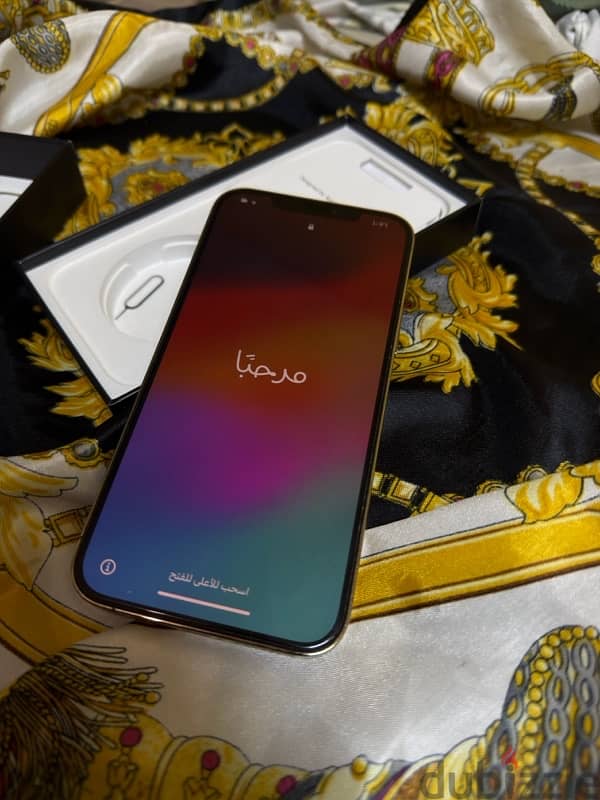 iphone 12 pro max 1