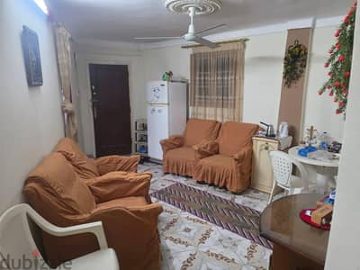 ميامي اسكندريه