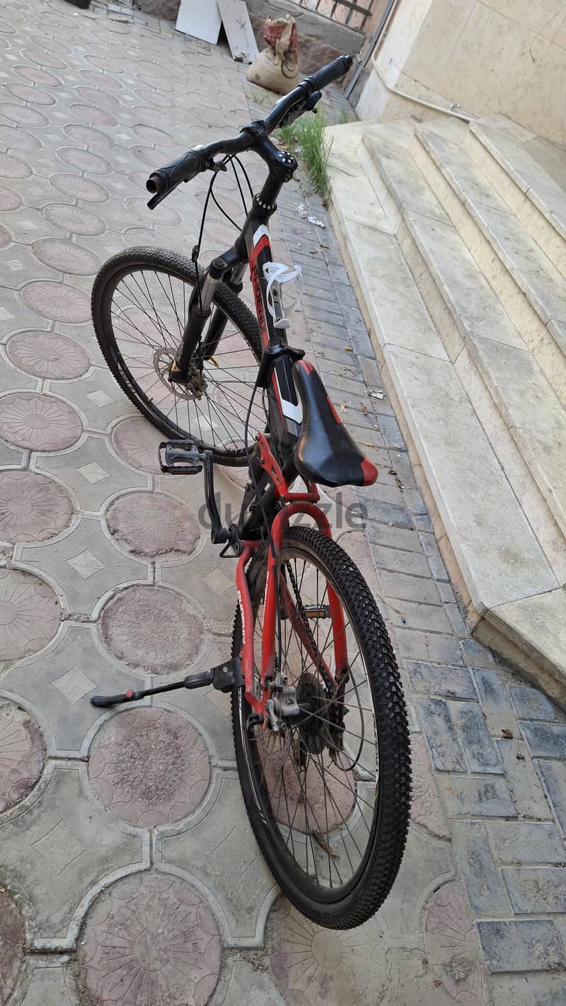 bike phonex 1