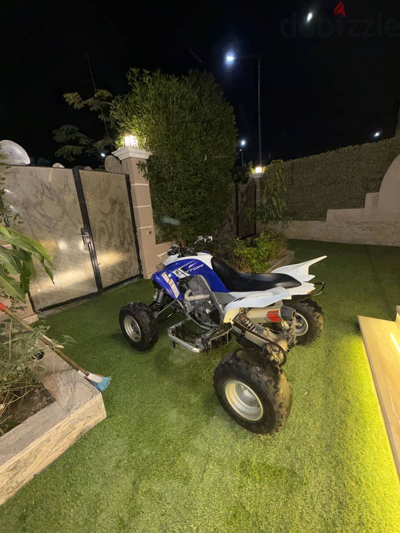 Buggy Raptor 1