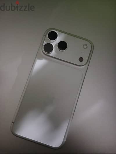 17 pro max