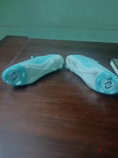 استارز جديد