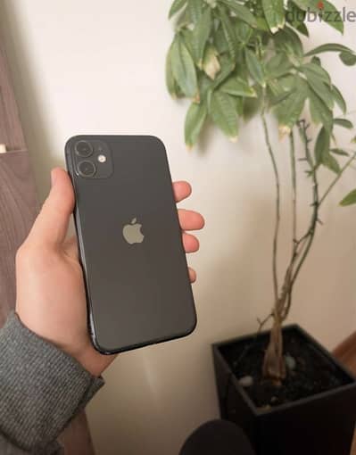 آبل - آيفون 11
