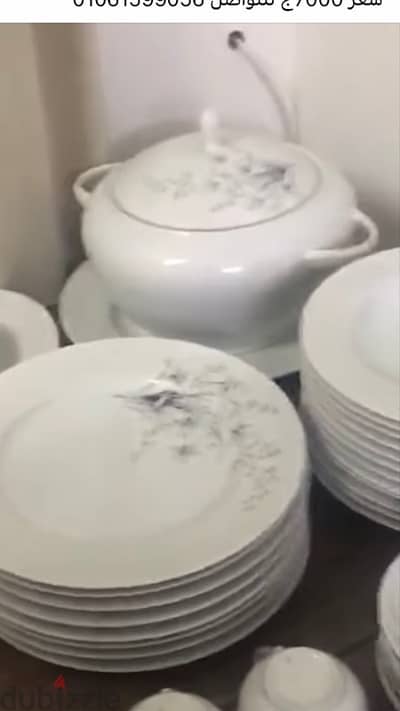 المهندسين /جامعه الدول العربيه