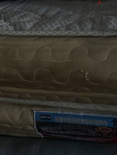 مرتبة سوست