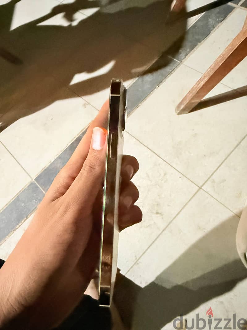 Apple - iPhone 13 Pro Max 1
