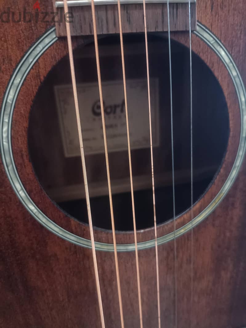 Cort AF510M OP Guitar 2