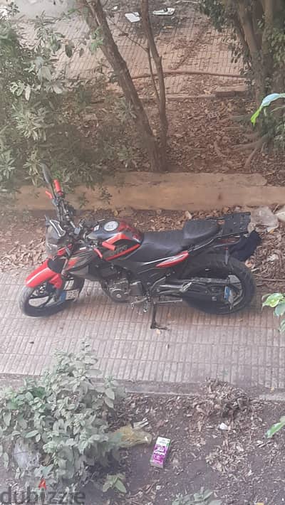 senke gtr250