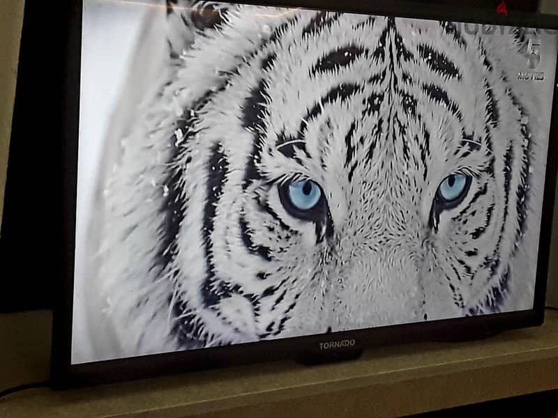 تورنادو 32بوصه LED 3