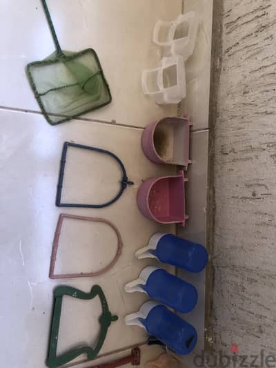 مستلزمات طيور