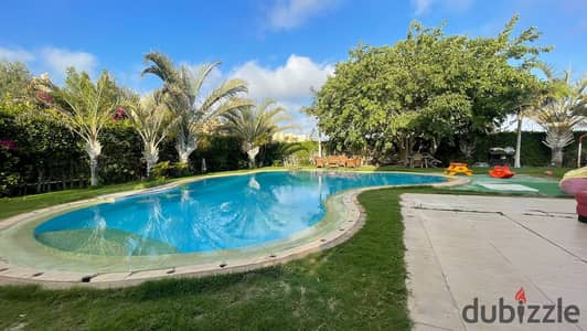 Luxury 5-Bedroom Villa with Private Pool | 3rd Row Sand Lagoon in Marina 7