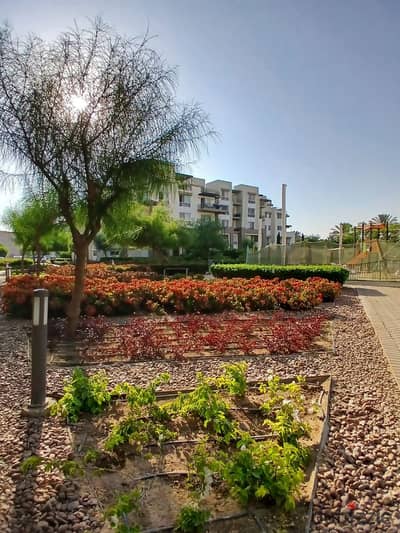 بنتهاوس 250م استلام فوري متشطب للإيجار في أب تاون كايرو إعمار Uptown Cairo Emaar