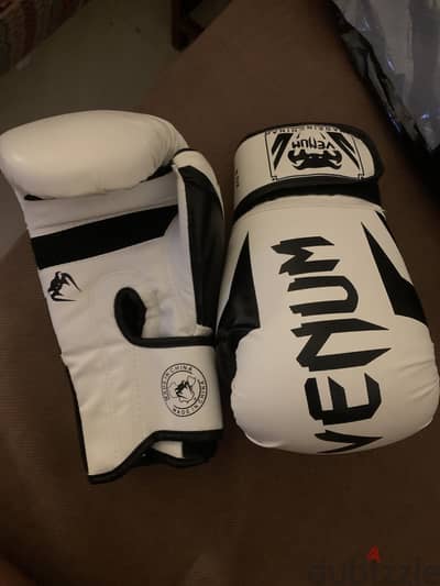 Boxing gloves