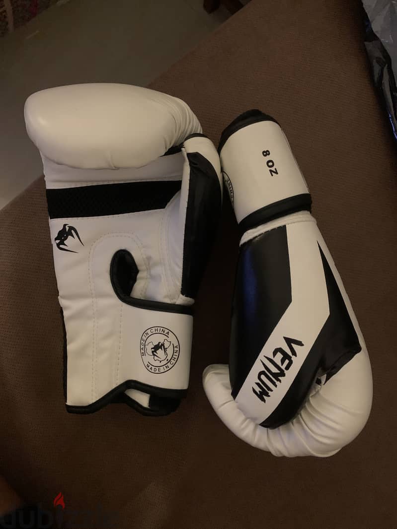 Boxing gloves 1