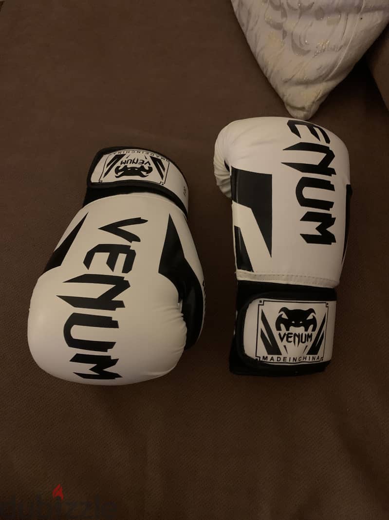 Boxing gloves 2