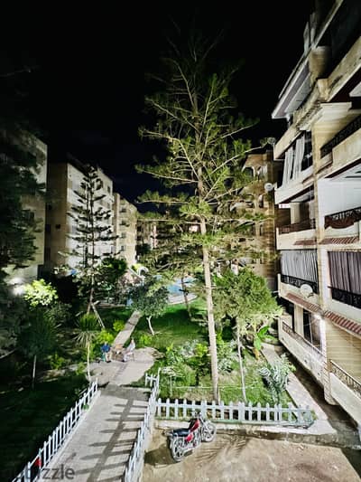 شقه في الإسكندرية العجمي شاطي النخيل بجوار فندق دار الدفاع الجوي والشارع الرئيسي موقع سكني ممتاز حممات سباحه مسجله وكامله المرفق