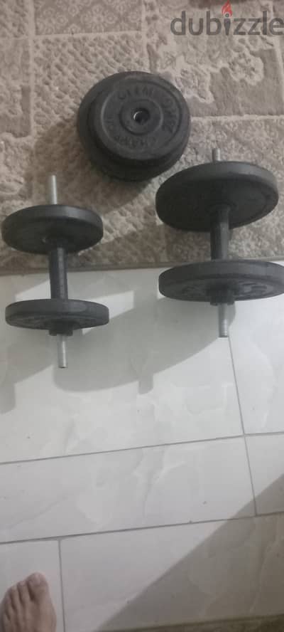 دامبلز بالاوزان