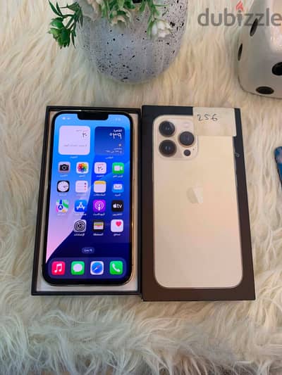 IPhone 13 Pro 256 giga