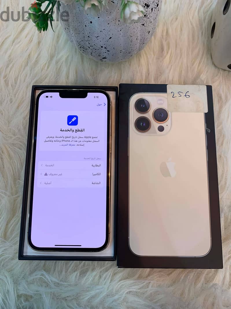 IPhone 13 Pro 256 giga 3