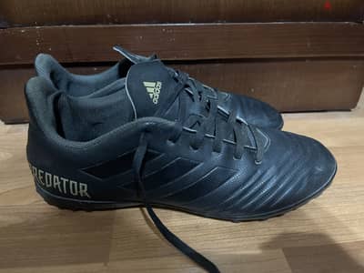 Adidas predator