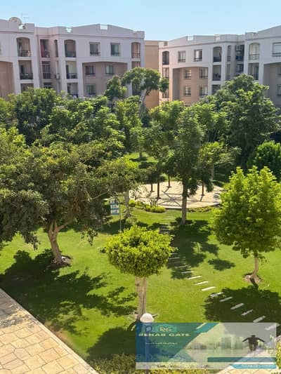  متاح شقة للإيجار (قانون جديد) في مدينة الرحاب    مدينة الرحاب  موقع مميز جدًا بالقرب من السوق القديم والفود كورت ومجمع البنوك   المساحة: