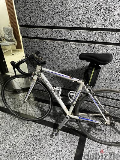 Trek road bicycle