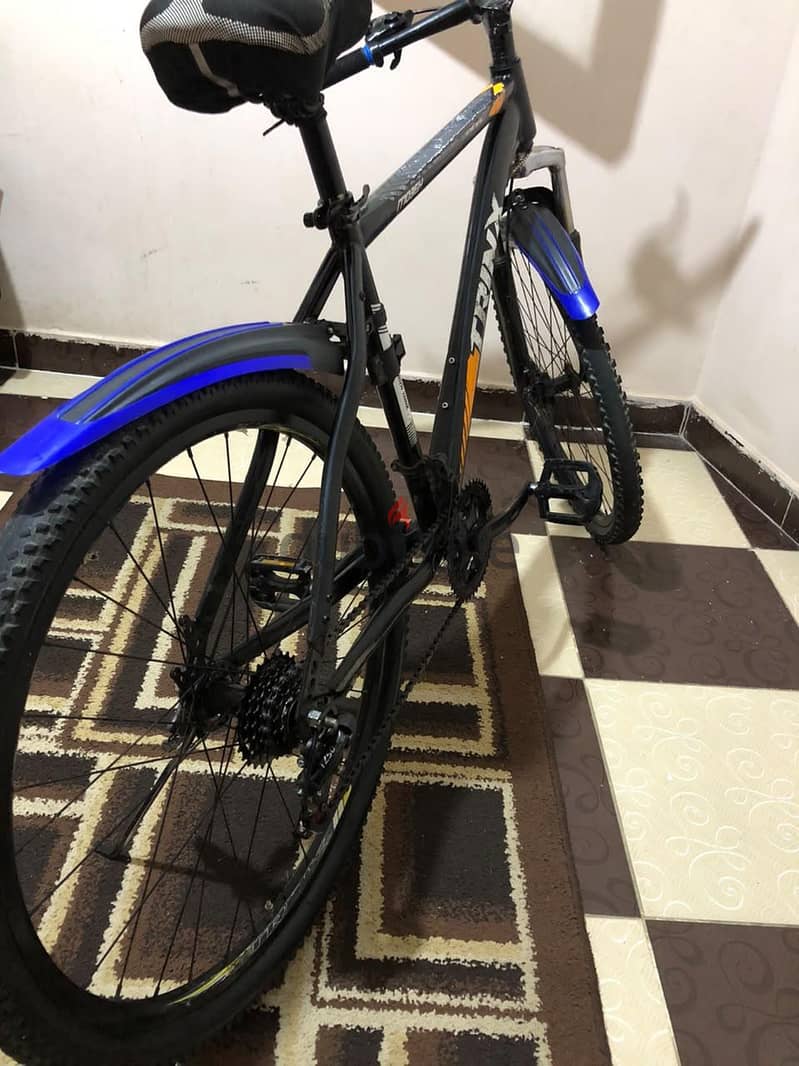 saif0 3