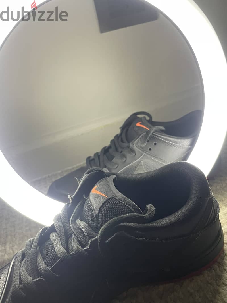 Nike SB Dunk low Pro Black Pigeon 1