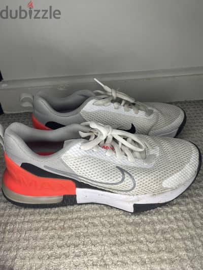Nike Air Max Alpha Trainer 6