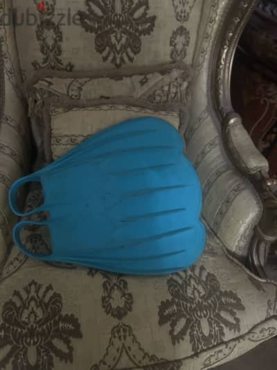 زعانف دوزو