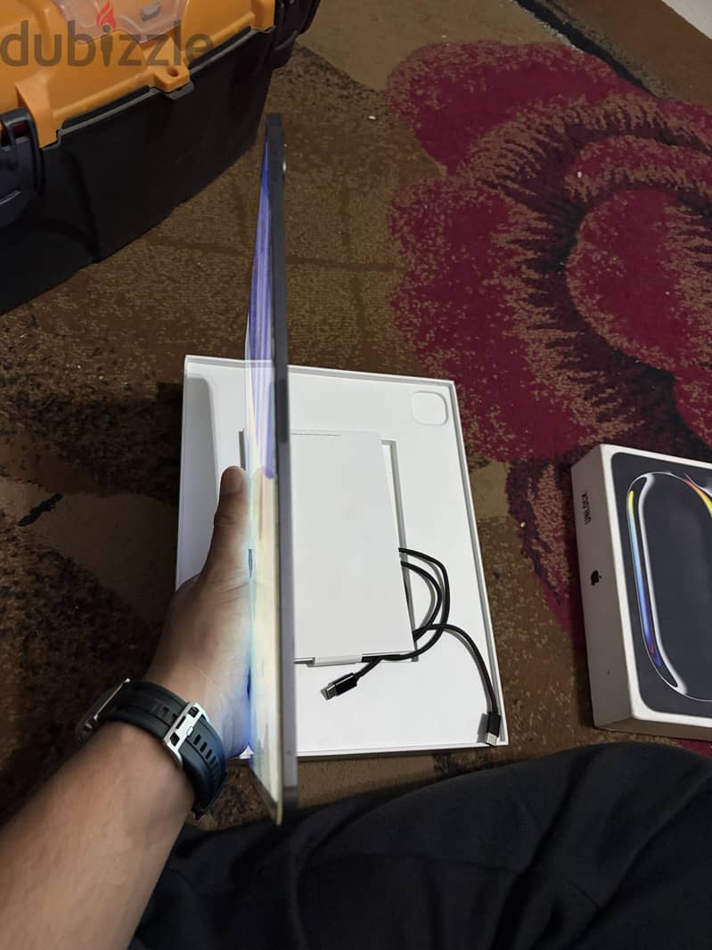Ipad pro m4 13 cellular 130 count 2