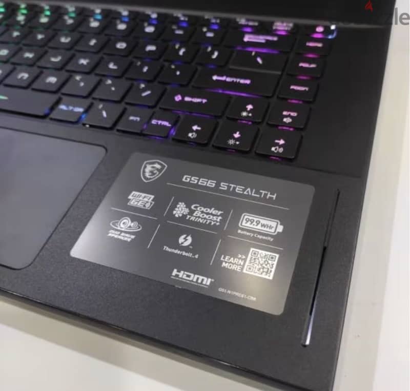 MSI Stealth GS66 2