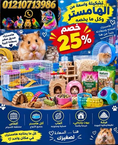 قطط وكلاب وعصافير