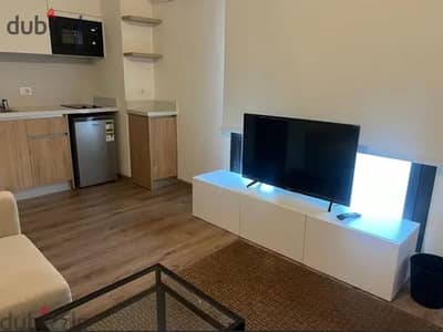 For rent furnished studio in Beverly Hills West Town