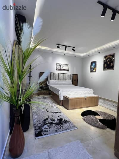 Furnished apartment for rent in Madinaty