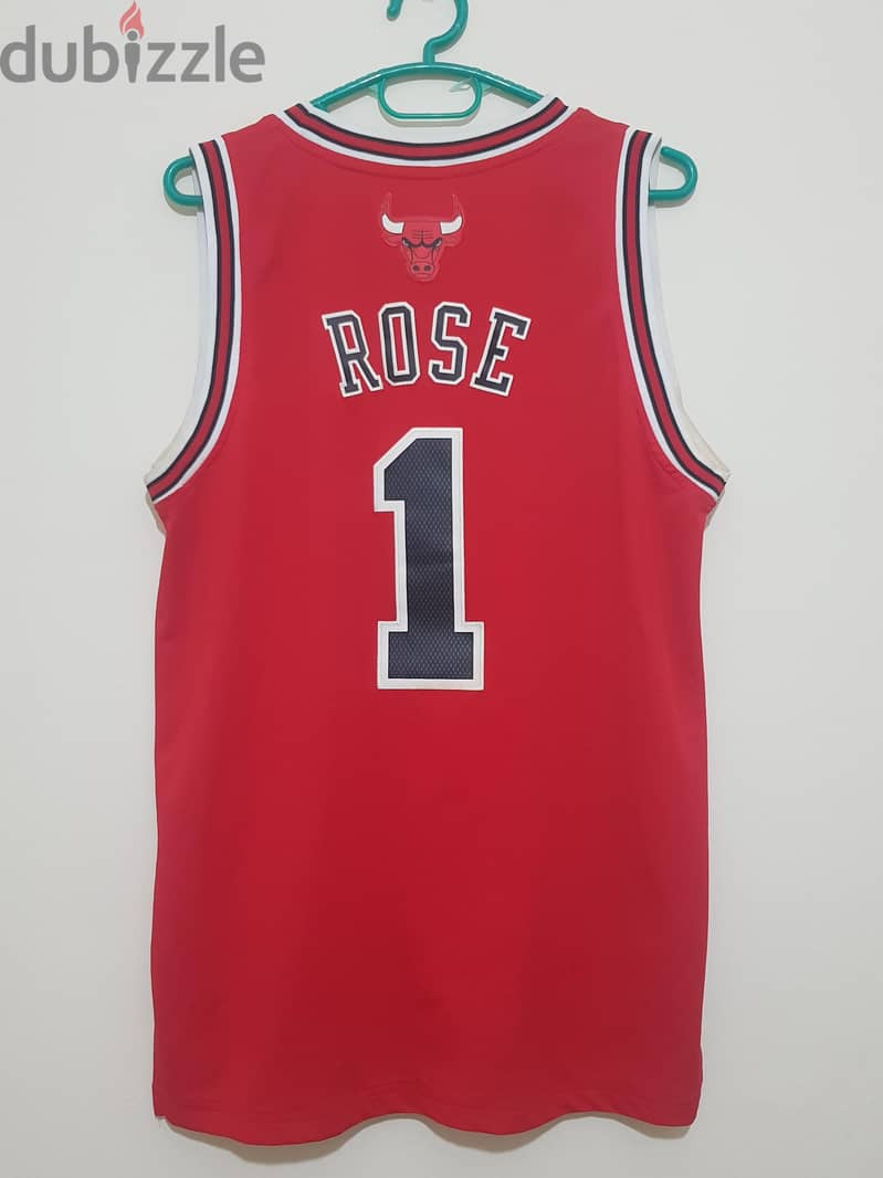 Chicago bulls 1 1