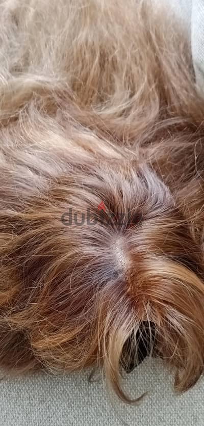 باروكه شعرطبيعي Wig
