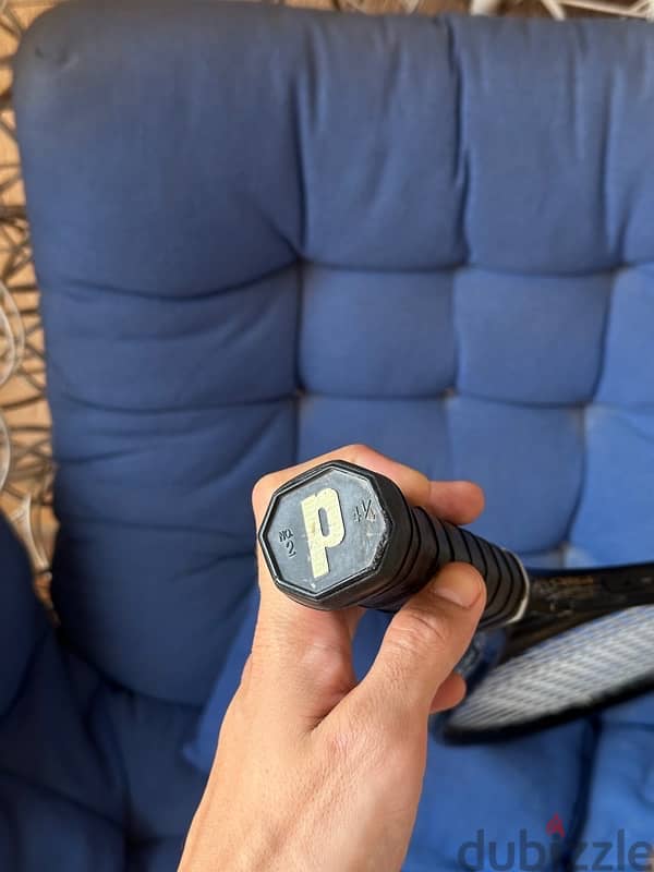 Prince Extender Pro 690 1