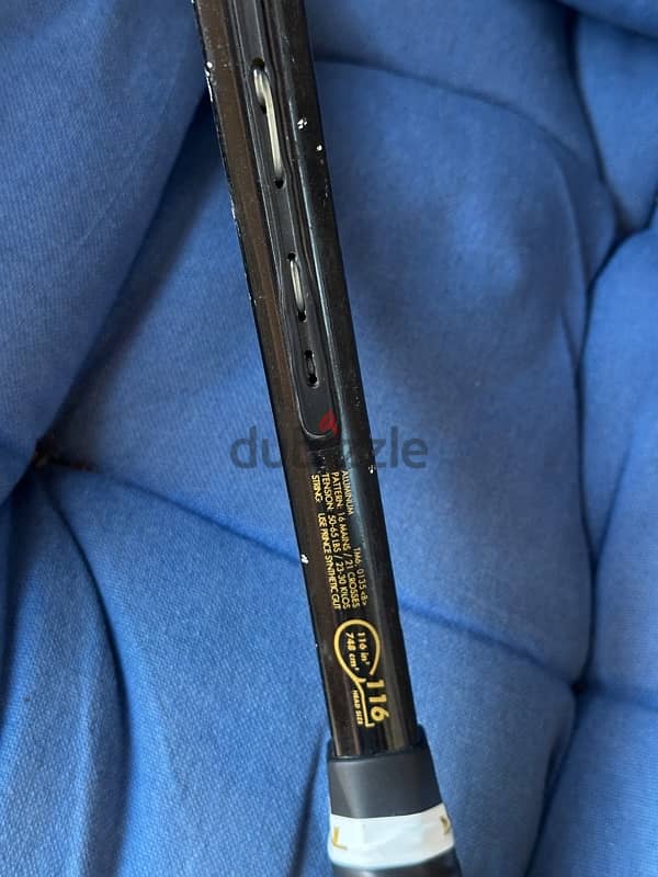 Prince Extender Pro 690 3