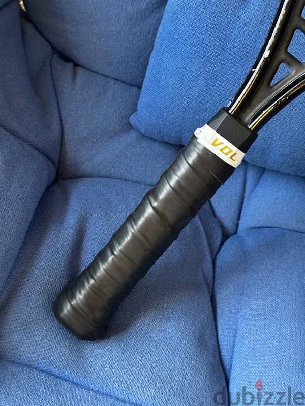 Prince Extender Pro 690 4