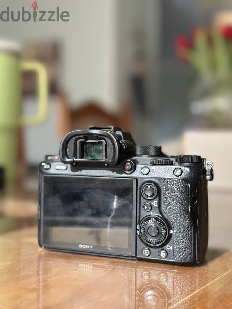 Sony A7riii 1