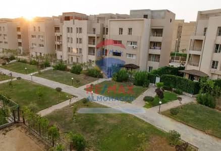 شقة مميزة للإيجار في "كارما ريزيدنسز" (Karma Residences) - الشيخ زايد