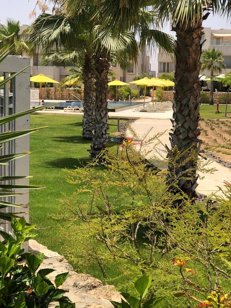 شاليه بـ٣ غرف نوم في هاسيندا باي، صورة ٦ من ١٦