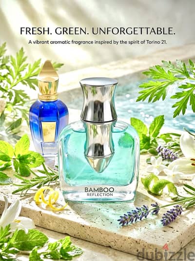 Bamboo Reflection | بامبو ريفليكشن