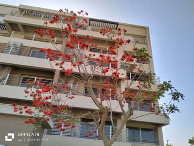 Apartment for Sale in Palm Hills Capital Gardens – 200 sqm, 3 Bedrooms, Fully Finished, 5th Floor, Prime Location, Ready for Investment